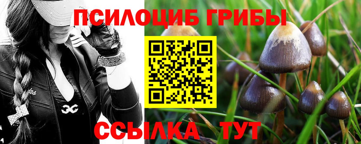 Псилоцибиновые грибы Magic Shrooms Туапсе